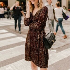 J. Crew Leopard Print Velvet Wrap Dress